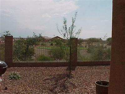 13852 E Fiery Dawn Dr, Vail, AZ 85641 photo 10