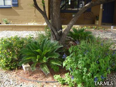 4639 E 6th St, Tucson, AZ 85711 photo 2