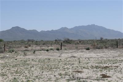 913 N Kimmick Rd, Willcox, AZ 85643 photo 5