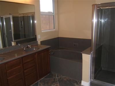 17244 S Painted Vistas, Vail, AZ 85641 photo 4