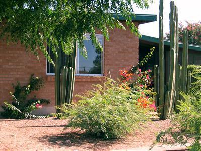 239 E Linden St, Tucson, AZ 85705 photo 2