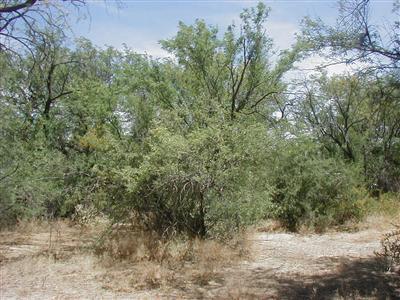 11350 Edison St, Tucson, AZ 85749 photo 3