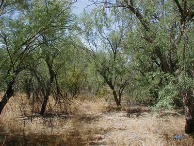 11350 Edison St, Tucson, AZ 85749 photo 2