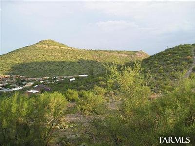 581 S Stephanie Loop, Tucson, AZ 85745 photo 6