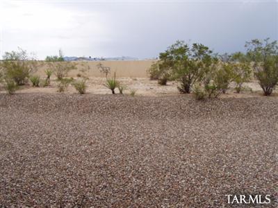 14428 E Madrona Station Pl, Vail, AZ 85641 photo 3