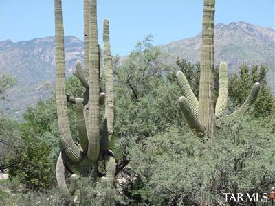 8721 E Saddleback Dr, Tucson, AZ 85749 photo 7