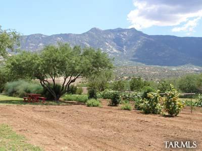 5310 Edwin Rd, Tucson, AZ 85739 photo 5