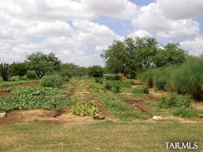 5310 Edwin Rd, Tucson, AZ 85739 photo 7