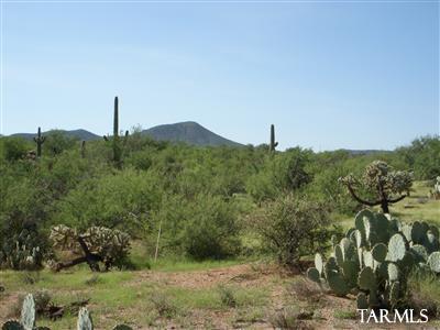 15382 E Hat Creek Rnch, Vail, AZ 85641 photo 3