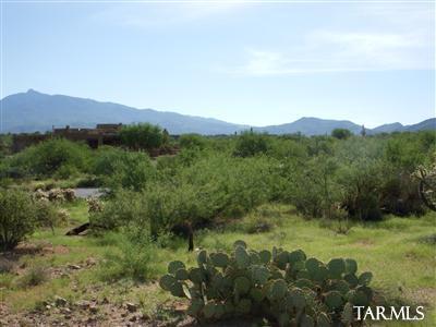 15382 E Hat Creek Rnch, Vail, AZ 85641 photo 1