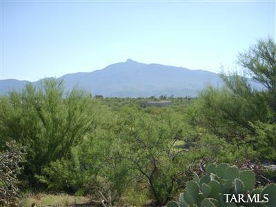 15382 E Hat Creek Rnch, Vail, AZ 85641 photo 5