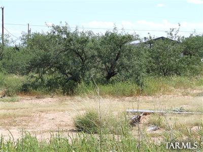 12475 W Easter Pl, Tucson, AZ 85736 photo 2
