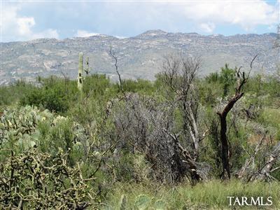 15385 E Tumbling L Ranch Pl, Vail, AZ 85641 photo 10