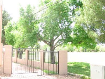 5606 E 14th St, Tucson, AZ 85711 photo 5
