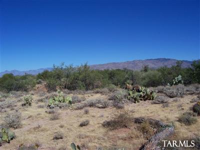 10533 S Coyote Melon Loop, Vail, AZ 85641 photo 19