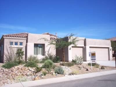 10533 S Coyote Melon Loop, Vail, AZ 85641 photo 20