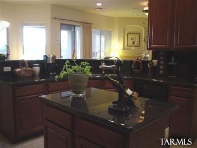 10525 S Coyote Melon Loop, Vail, AZ 85641 photo 7
