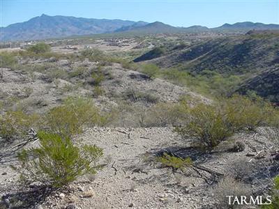 10565 S Ariana Dr, Vail, AZ 85641 photo 15