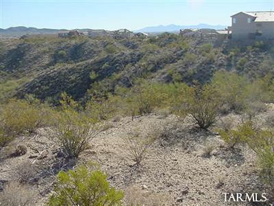 10565 S Ariana Dr, Vail, AZ 85641 photo 14