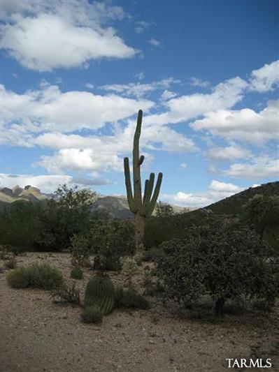 7502 E Wandering Rd, Tucson, AZ 85750 photo 7