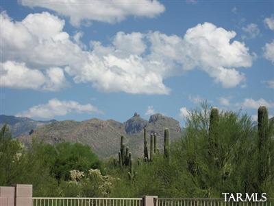 7502 E Wandering Rd, Tucson, AZ 85750 photo 8