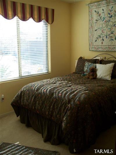 384 S Blue River Loop, Vail, AZ 85641 photo 11