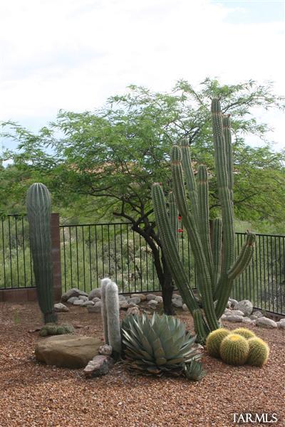 10643 E Barclay Park Loop, Tucson, AZ 85748 photo 22