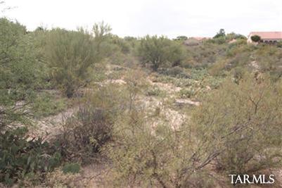 10643 E Barclay Park Loop, Tucson, AZ 85748 photo 24