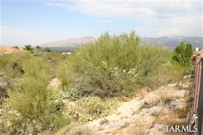 10643 E Barclay Park Loop, Tucson, AZ 85748 photo 23