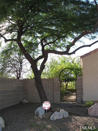9441 E Lilly Bay Loop, Tucson, AZ 85710 photo 2