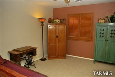 10897 S Arrowhead Spring Dr, Vail, AZ 85641 photo 15