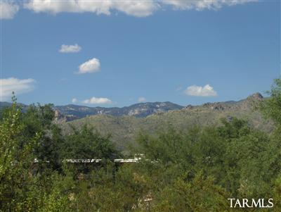 10201 E Glenn St, Tucson, AZ 85749 photo 16