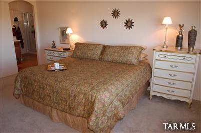 16942 S Vanilla Orchid Dr, Vail, AZ 85641 photo 15