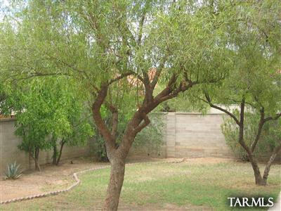 1709 E Water St, Tucson, AZ 85719 photo 8