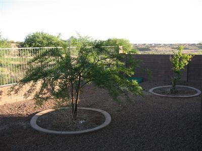 13910 E Via Valderrama, Vail, AZ 85641 photo 9