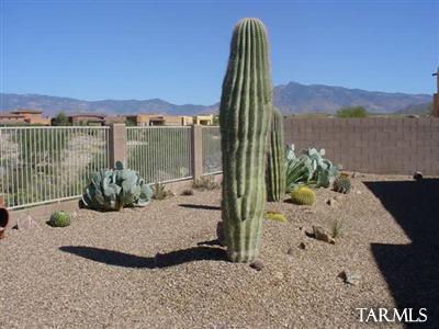13943 E Fiery Dawn Dr, Vail, AZ 85641 photo 17