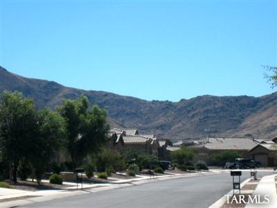420 S Blue River Loop, Vail, AZ 85641 photo 7