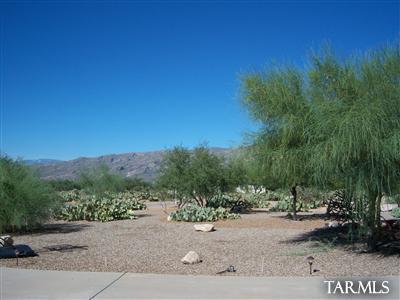 14300 E Rincon Valley Dr, Vail, AZ 85641 photo 9
