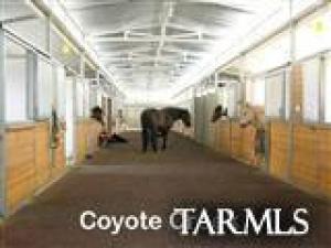 15341 E Tumbling Z Ranch Pl, Vail, AZ 85641 photo 10