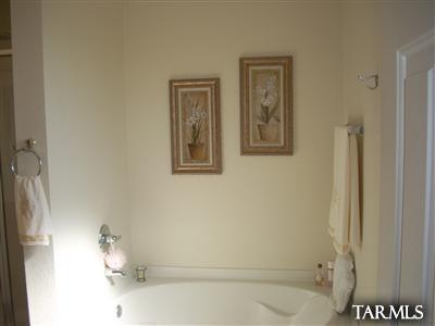 13732 E Oxmoor Valley Dr, Vail, AZ 85641 photo 16