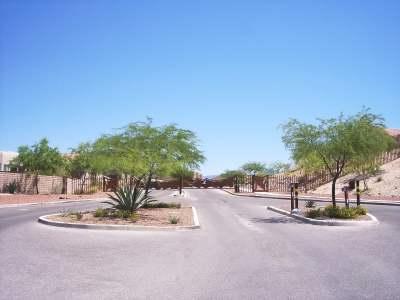 14063 E Bluff View Pl, Vail, AZ 85641 photo 7