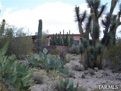 11050 E Pinal Vis, Tucson, AZ 85730 photo 1