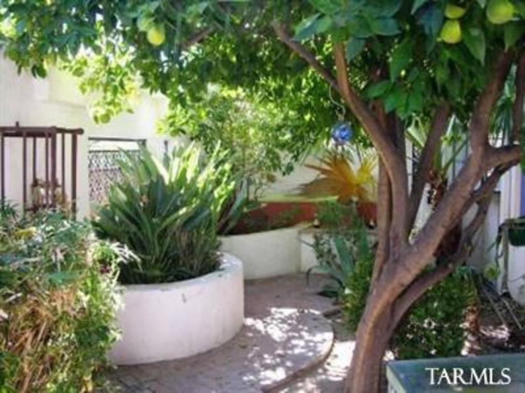 2025 E 5th St, Tucson, AZ 85719 photo 20