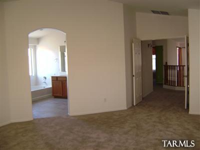 10754 S Distillery Canyon Spring Dr, Vail, AZ 85641 photo 10