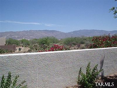 13961 E Placita Simpatica, Vail, AZ 85641 photo 7