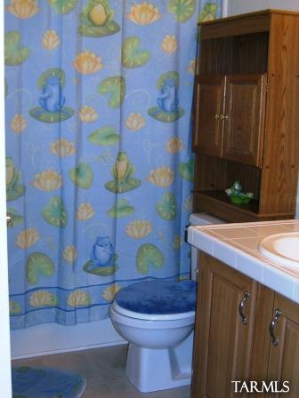 11015 S Vail Creek Pl, Vail, AZ 85641 photo 11