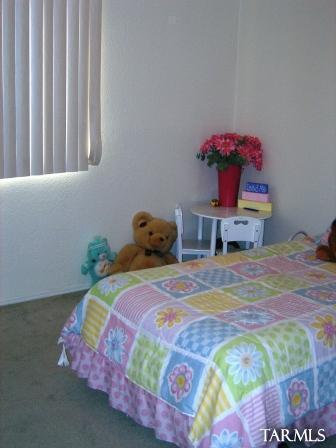 11015 S Vail Creek Pl, Vail, AZ 85641 photo 9