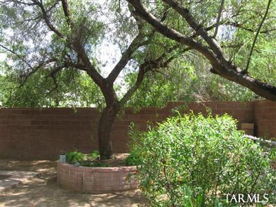 3621 N Tyndall Ave, Tucson, AZ 85719 photo 8