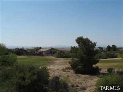 528 S Blue Riv, Vail, AZ 85641 photo 3