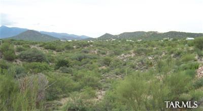 11131 S Vail Creek Pl, Vail, AZ 85641 photo 3